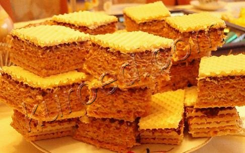 vaf_tort (486x304, 42Kb)