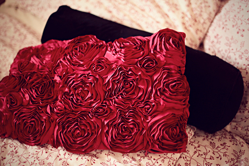 4085697_red_flowers_bag (500x334, 272Kb)