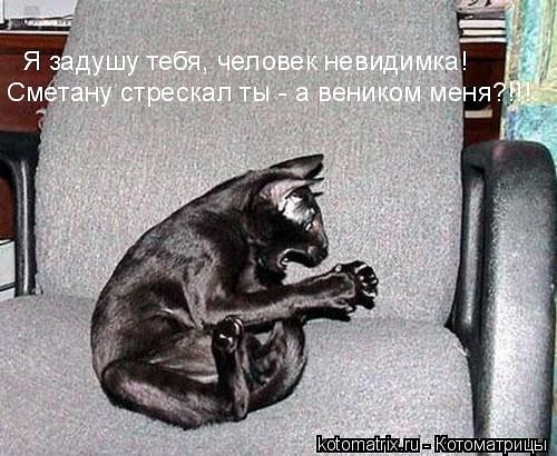 )))))))))))) (500x410, 50Kb)