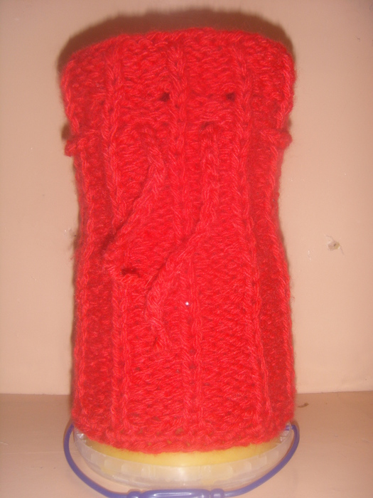 DSC02338 (525x700, 163Kb)