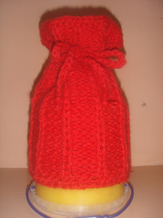DSC02339 (525x700, 76Kb)