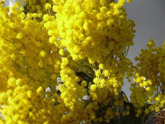 01_ (640x480, 73Kb)