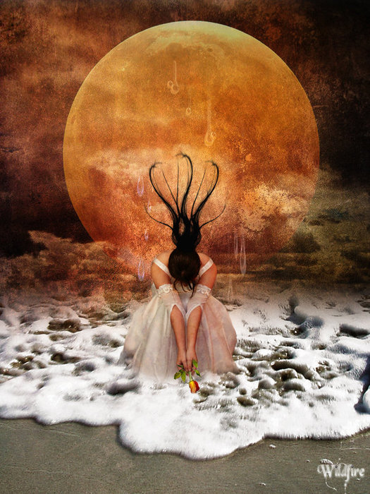 Tears_From_the_Moon_by_Wildfire2003 (525x700, 117Kb)