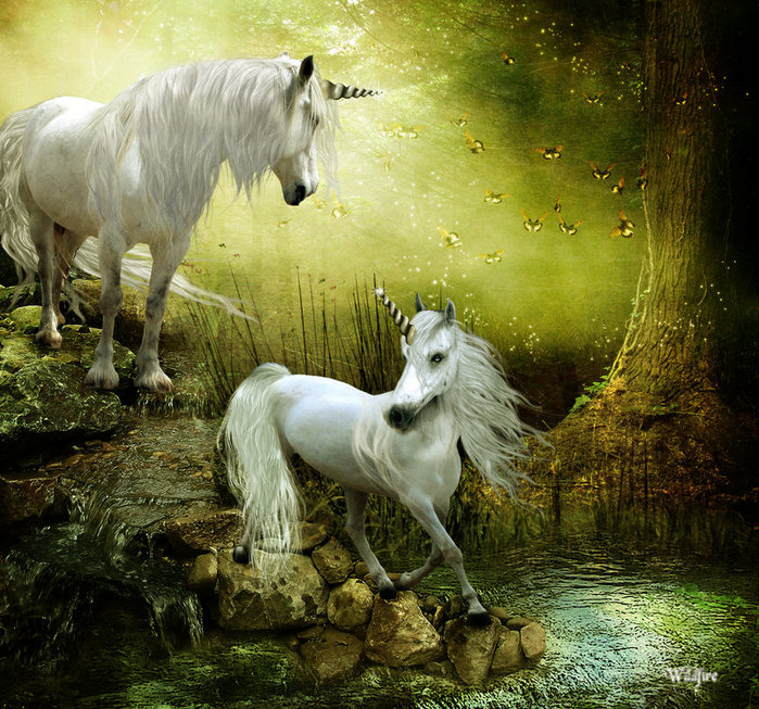 Out_of_a_Fairy_Tale_by_Wildfire2003 (700x653, 173Kb)