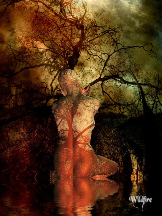 You_Don__t_See_Me_by_Wildfire2003 (525x700, 129Kb)