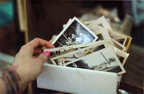 tumblr_lsimjk2W671qjcdpdo1_500 (500x326, 107Kb)