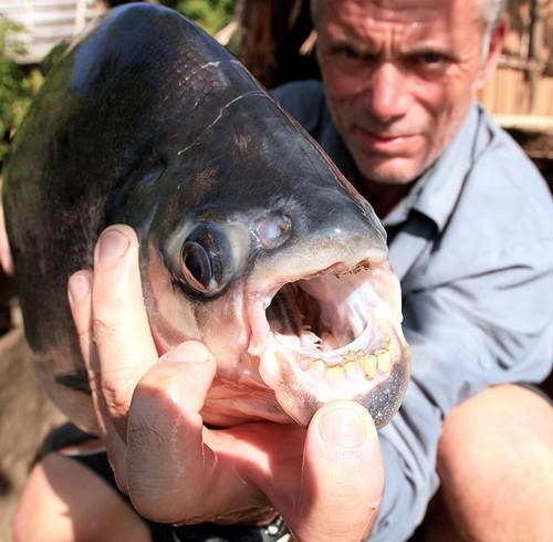 Jeremy-Wade (500x490, 34Kb)