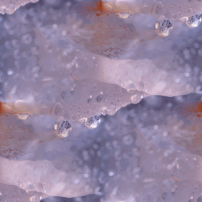 cccc (700x700, 193Kb)