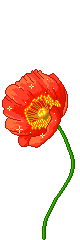 69 (80x240, 3Kb)
