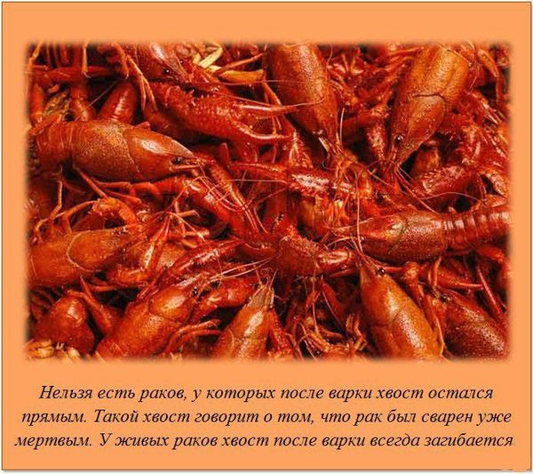 image015 (600x533, 88Kb)