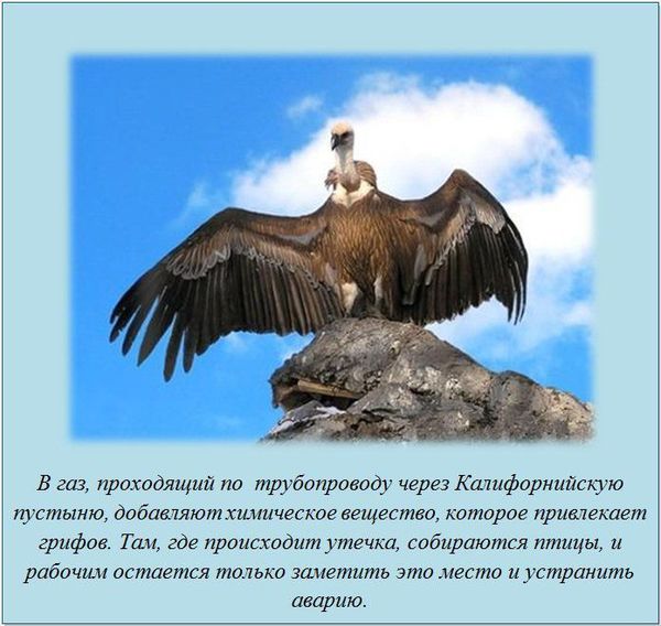 image030 (600x568, 63Kb)