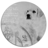 1330264356_rubis_by_fruitpunch1d39x6yx (155x155, 22Kb)