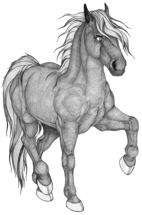 3833204_71377607 (461x700, 172Kb)