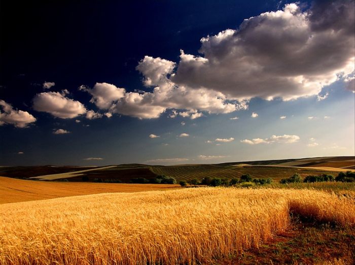weather_54 (700x524, 66Kb)