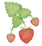 dje_strawberries (634x700, 356Kb)