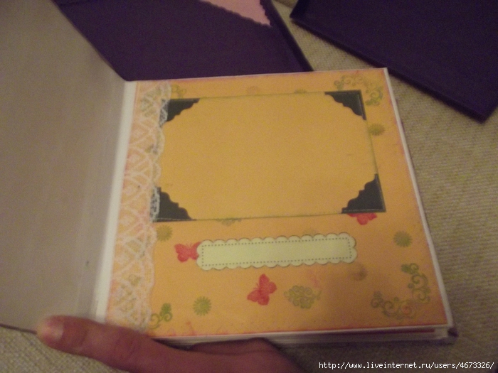 DSCF0091 (700x525, 253Kb)