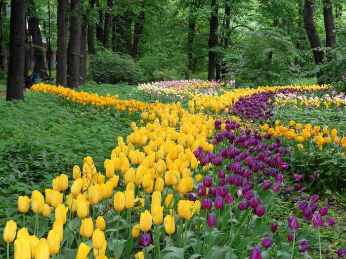 DSC03256 (700x525, 243Kb)