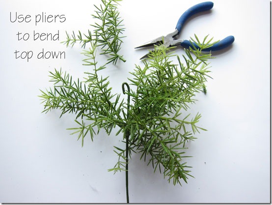 How-to-make-a-topiary-bend-_thumb (554x417, 61Kb)