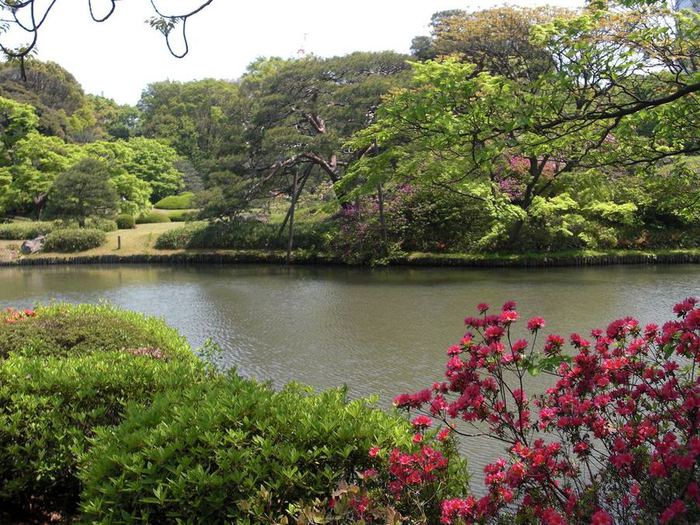 4826692_Rikugiengarden_21 (700x525, 109Kb)