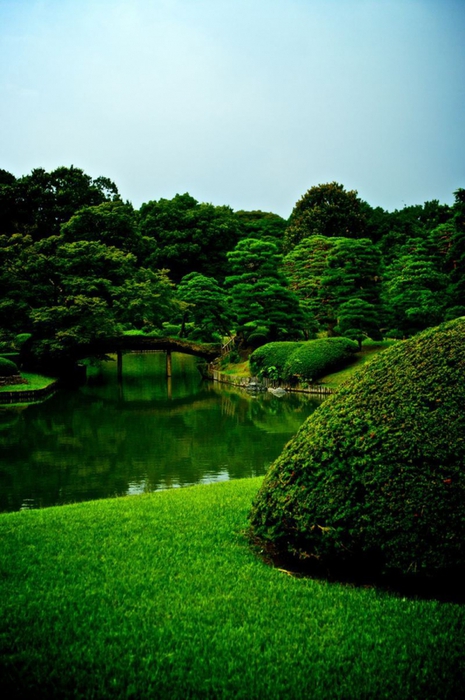 4826692_Rikugiengarden_13 (465x700, 263Kb)