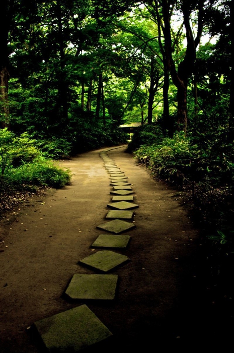 4826692_Rikugiengarden_12 (465x700, 277Kb)