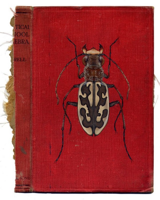 Rose_Sanderson_bugs_1 (562x700, 137Kb)