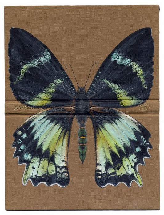 Rose_Sanderson_bugs_5 (533x700, 134Kb)