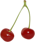  sns_cp_cherries (574x700, 170Kb)