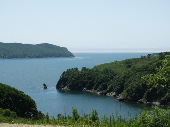 5559494_DSC01973 (700x525, 224Kb)