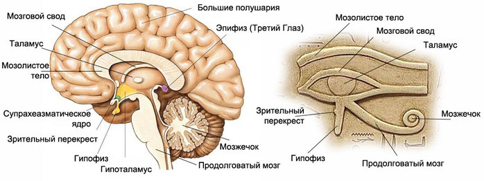 oko-gora-3 (700x262, 57Kb)