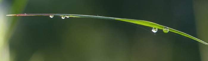 017 (700x205, 43Kb)