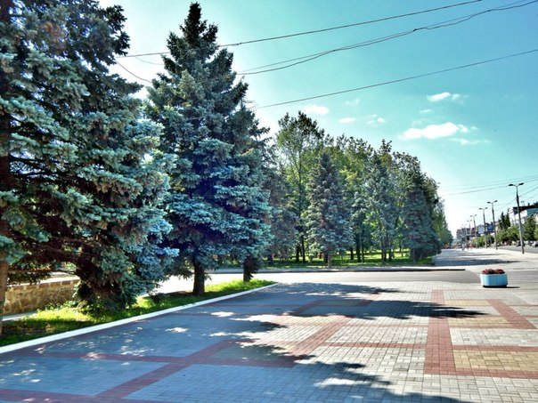 Ph5LT-DJyfA (604x453, 322Kb)