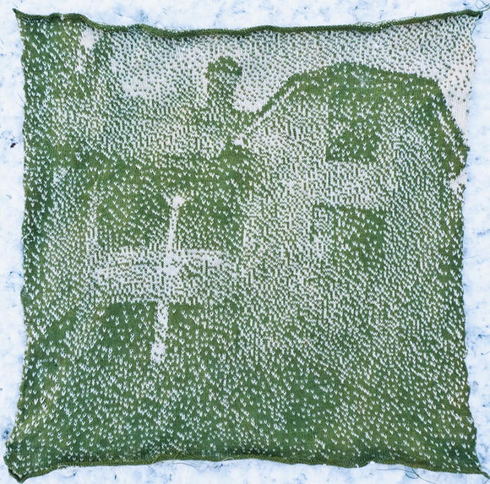 P1110546 (700x692, 727Kb)