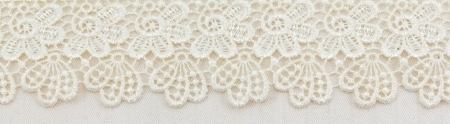 17468893-lace-flowers-frame-close-up-isolated-on-fabric-texture (450x124, 69Kb)
