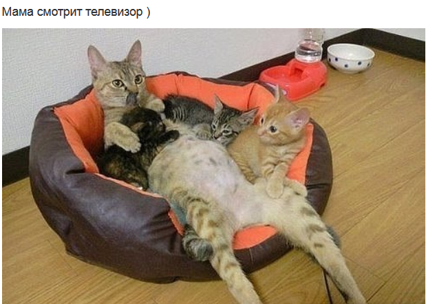  (619x442, 619Kb)
