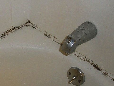 image (1) (480x364, 89Kb)