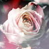 1435011965_91920010_3470510_tumblr_m8gqgqP74x1qcj84mo1_500 (100x100, 36Kb)