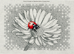  blackwork-ladybug-and-daisy (700x512, 460Kb)