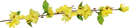 razdel zheltaq wetohka (500x112, 57Kb)