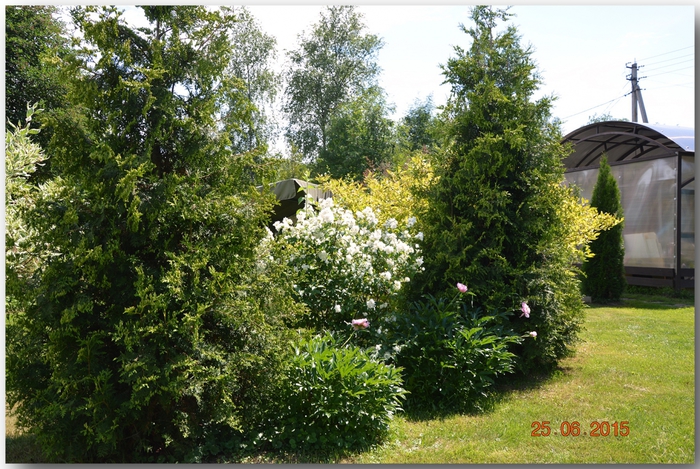 3587765_DSC_4191 (700x469, 342Kb)