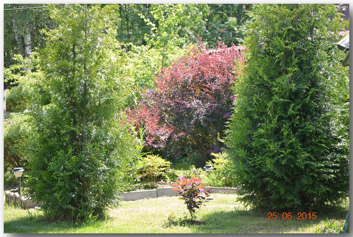 3587765_DSC_4192 (700x470, 368Kb)