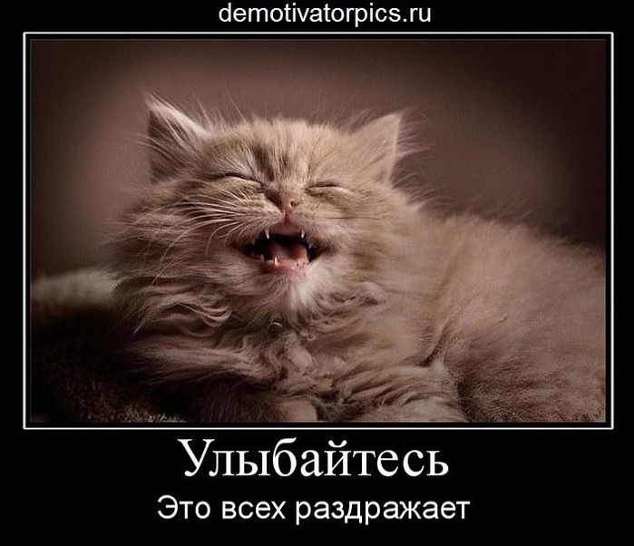 Звонок открытки, фото с надписью будьте счастливы ведь это так всех раздражает