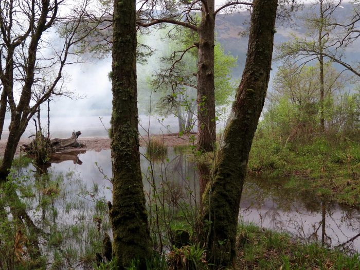 The mystical Loch Lochy (700x525, 518Kb)