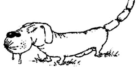 mops (442x227, 42Kb)