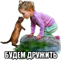 Будем дружить