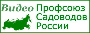logo3 (316x119, 29Kb)
