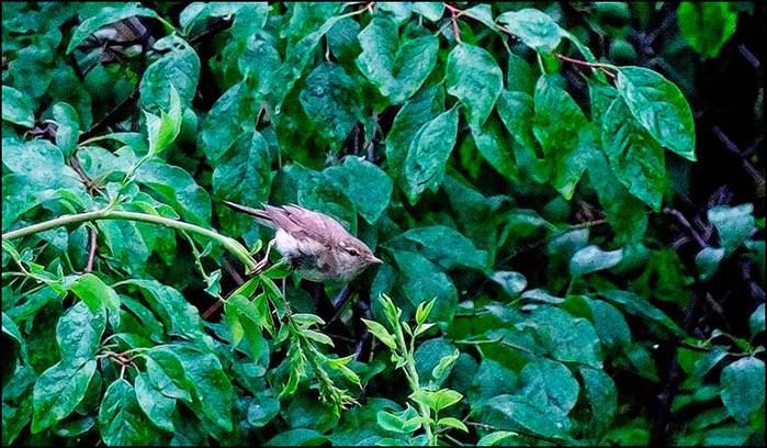 /3673959_8 (700x408, 72Kb)