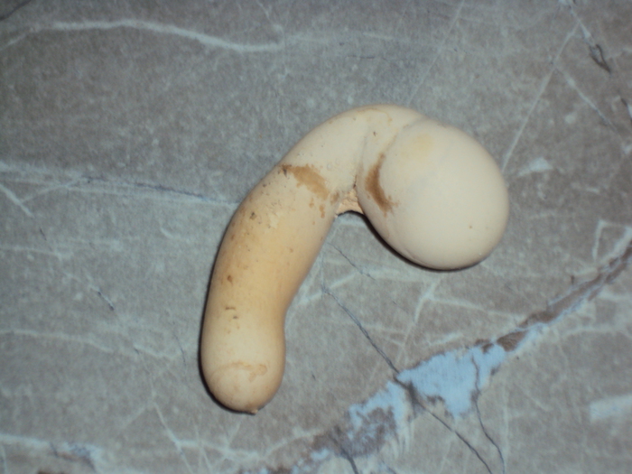 DSC03653 (700x525, 236Kb)