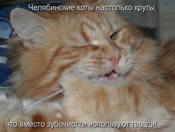 https://img0.liveinternet.ru/images/attach/c/5/123/600/123600360_0_ef6e1_82705bd5_XL.jpg