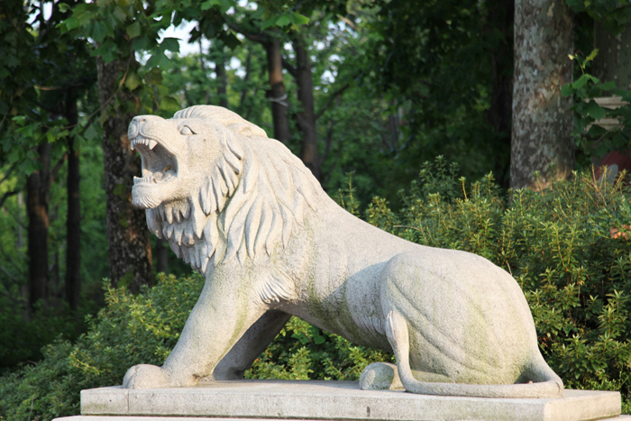 IMG_0408 (700x467, 486Kb)